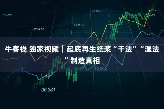 牛客栈 独家视频｜起底再生纸浆“干法”“湿法”制造真相